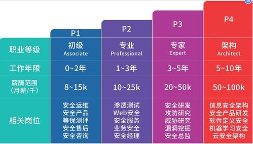 網(wǎng)絡(luò)安全綜合實(shí)戰(zhàn) 打造網(wǎng)絡(luò)與信息安全軟件開(kāi)發(fā)能力